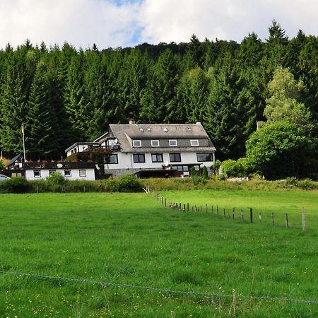 Haus Hubertus Apartamento Willingen  Exterior foto