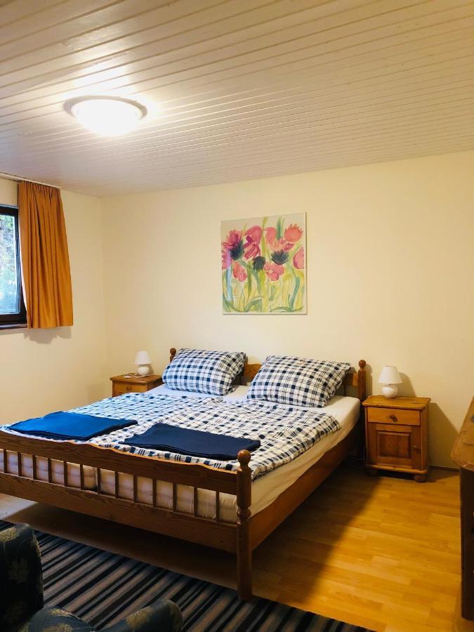 Haus Hubertus Apartamento Willingen  Exterior foto
