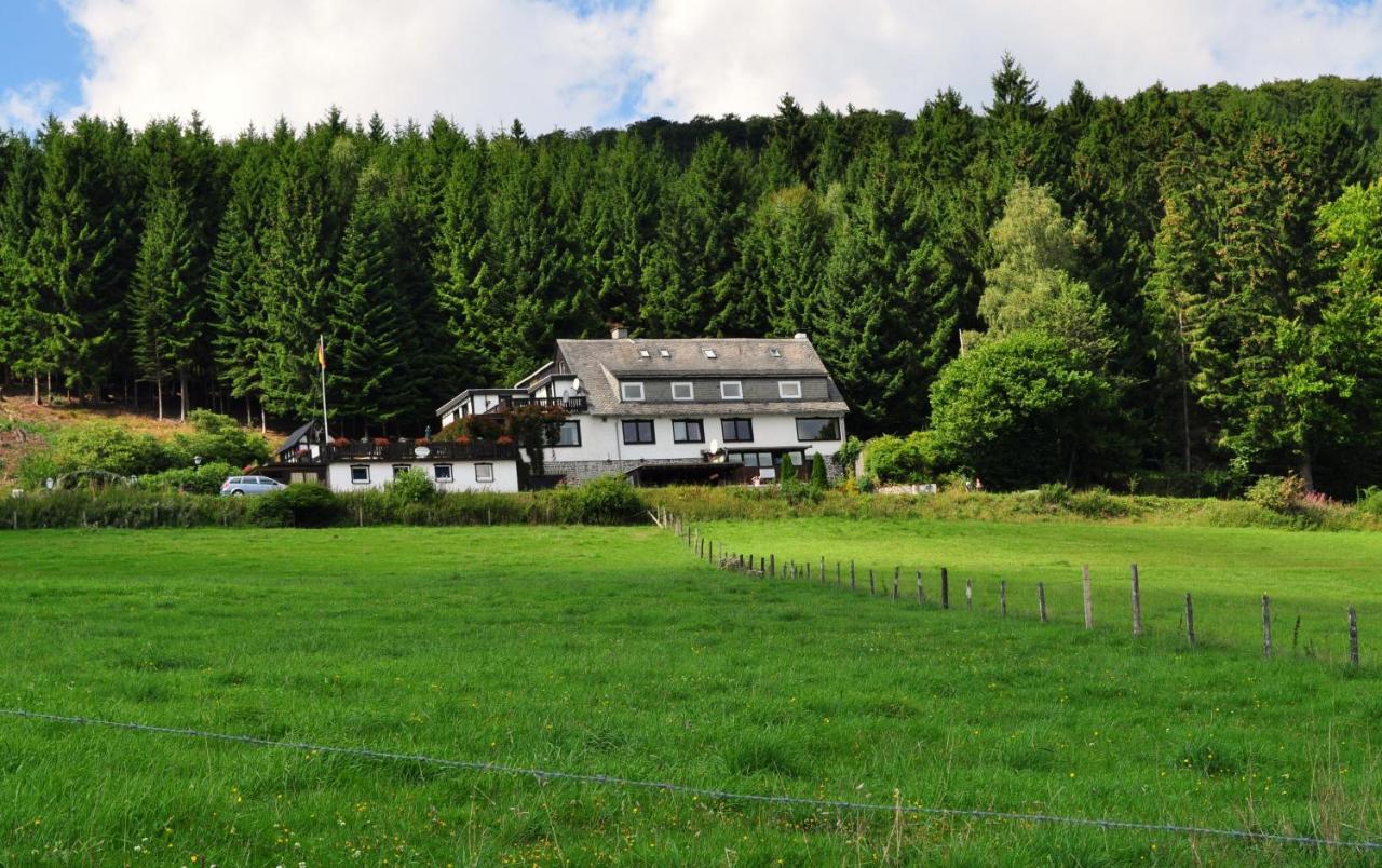 Haus Hubertus Apartamento Willingen  Exterior foto