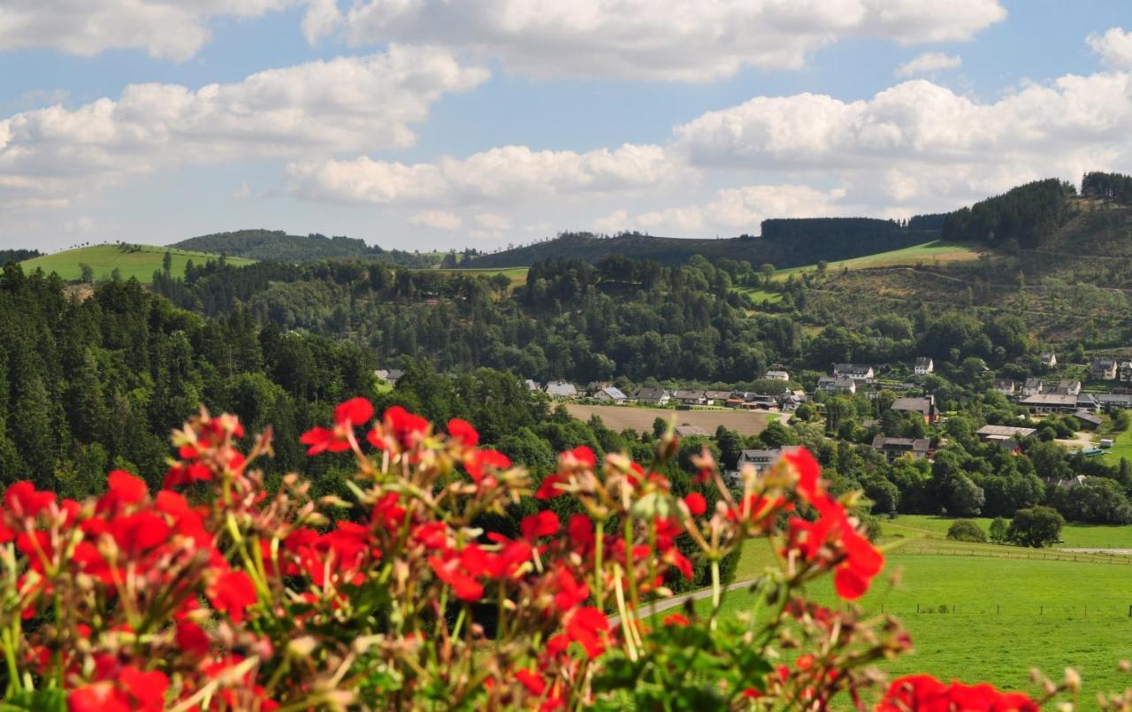 Haus Hubertus Apartamento Willingen  Exterior foto